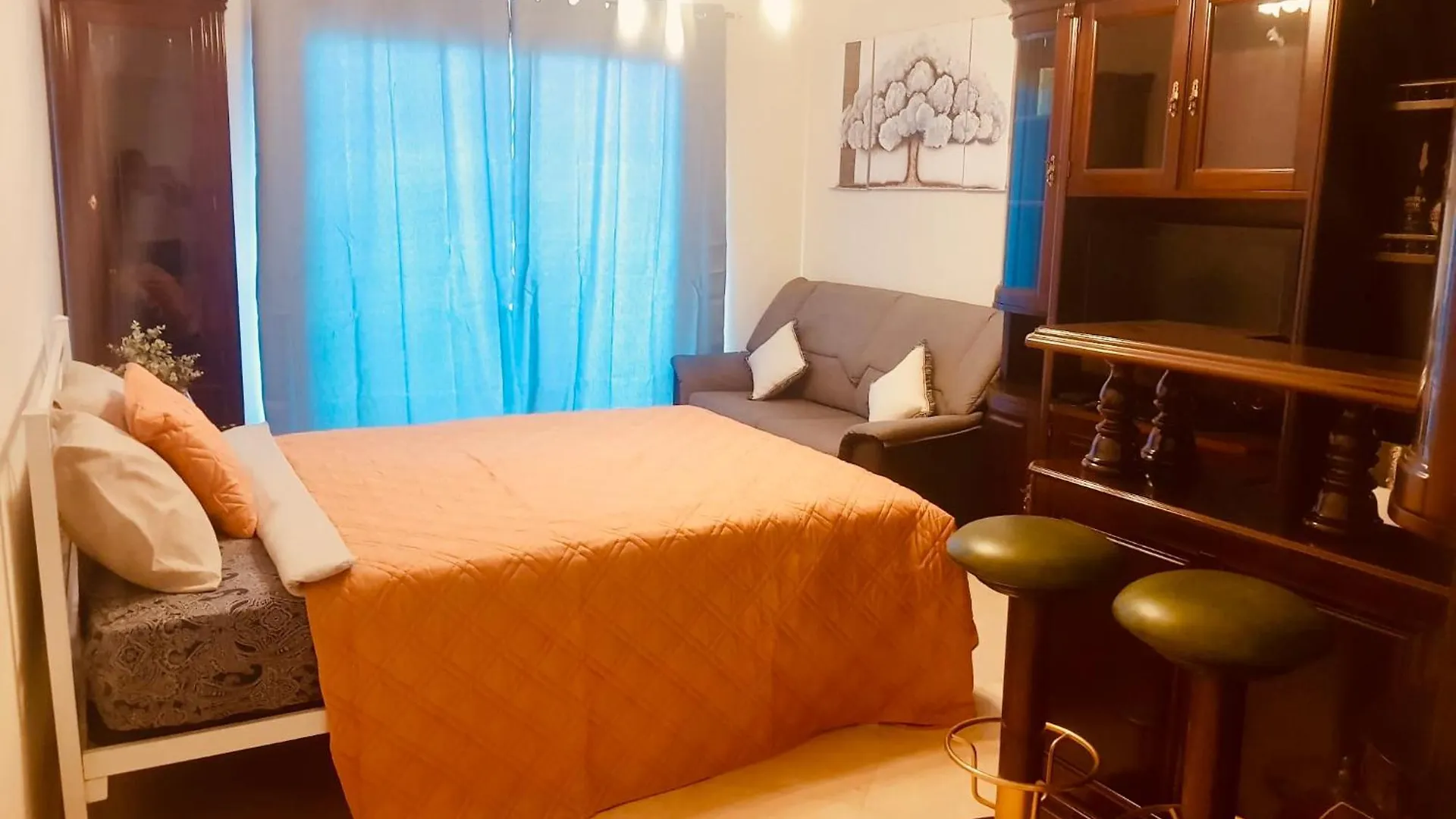 Plaza Near Forum Madeira - Rooms For Rent Funchal  Portugal